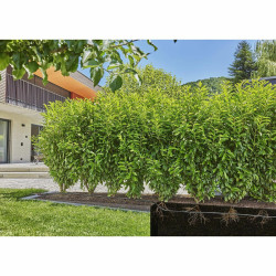 Sistema de riego por goteo Gardena 13501-20