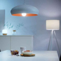 Bombilla Inteligente Ledkia A60 E27
