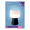 Lámpara LED con Altavoz Bluetooth y Cargador Inalámbrico Lumineo 894