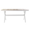 Mesa de Comedor DKD Home Decor Exterior Resina Aluminio 200 x 90 x 75