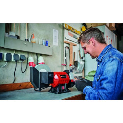 Esmeriladora de Banco Einhell TC-WD 200/150 2980 RPM Ø 15 cm Ø 20 cm