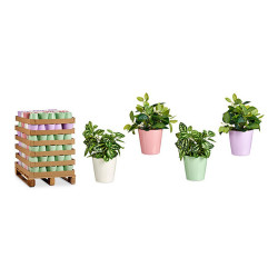 Maceta Rosa Lila Blanco Verde Arcilla (16,5 x 16 x 16,5 cm) (120 Unida