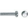 Caja de tornillos CELO M6 x 30 mm 6 x 30 mm 200 Unidades Rosca Métric
