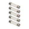 Fusible EDM 8,5 x 31,5 mm 5 Unidades