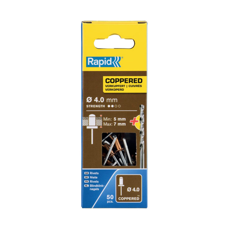 Remaches Rapid 5001462 Broca Ø 4 x 10 mm Cobre Aluminio (50 Unidades) Remaches Rapid 5001462 Broca Ø 4 x 10 mm Cobre Aluminio (50 Unidades)