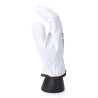 Guantes de Trabajo EDM Transportes Blanco Piel de vaca