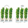 Jardinera Autorriego Lechuza TRIO Cottage Negro Polipropileno 100 x 32