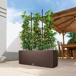 Jardinera Autorriego Lechuza TRIO Cottage Negro Polipropileno 100 x 32