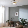Ventilador de Techo con Luz Cecotec EnergySilence Aero 450 Blanco 50 W