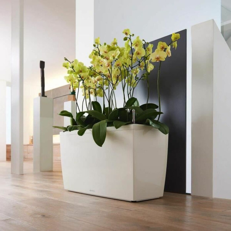 Maceta Lechuza 43 x 75 x 43 cm Plástico Rectangular Maceta Lechuza 43 x 75 x 43 cm Plástico Rectangular