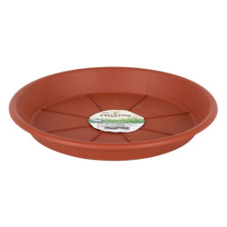 Plato para Maceta Dem Marrón