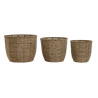 Set de Maceteros Home ESPRIT Marrón Fibra Tropical 31 x 31 x 24 cm