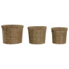 Set de Maceteros Home ESPRIT Marrón Metal Fibra Tropical 36 x 36 x 29