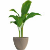 Maceta Garden ID Taupé 40 x 31 cm