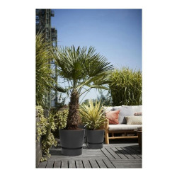 Maceta Elho Greenville Negro Plástico Redonda Redondo Ø 30 cm Ø 29,