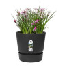 Maceta Elho Greenville Negro Plástico Redonda Redondo Ø 30 cm Ø 29,