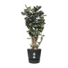 Maceta Elho Greenville Negro Plástico Redondo Redonda Ø 40 cm Ø 39