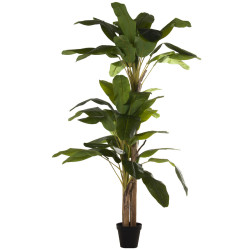 Planta Decorativa Alexandra House Living Plástico Platanera 23 x 234