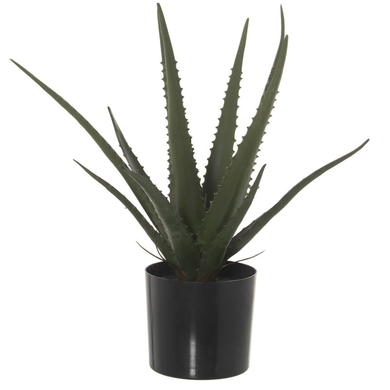 Planta Decorativa Alexandra House Living Plástico Aloe Vera 11 x 11 x Planta Decorativa Alexandra House Living Plástico Aloe Vera 11 x 11 x