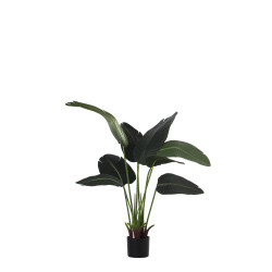 Planta Decorativa Alexandra House Living Plástico Árbol del viajero