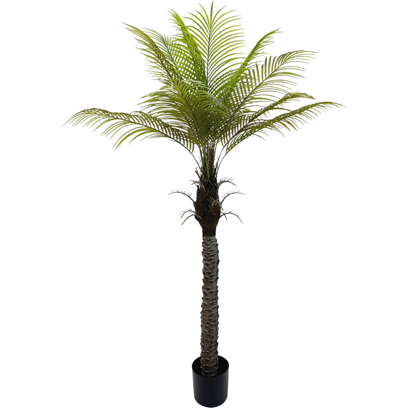 Planta Decorativa Alexandra House Living Plástico Palmera 180 cm Planta Decorativa Alexandra House Living Plástico Palmera 180 cm