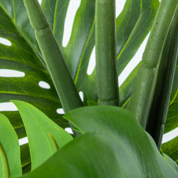 Planta Decorativa Alexandra House Living Plástico Monstera 150 cm