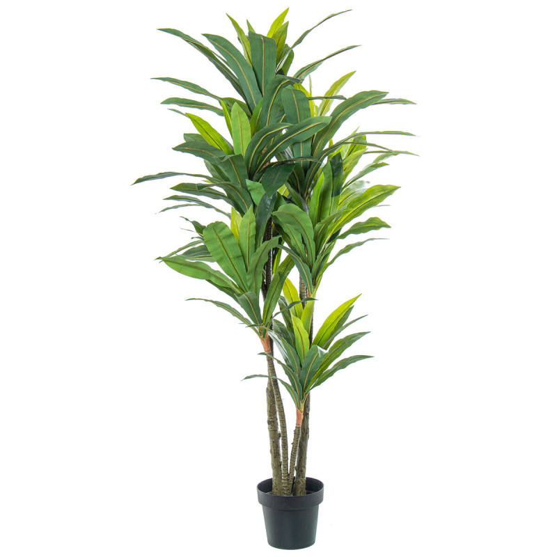 Planta Decorativa Alexandra House Living Plástico Drácena 160 cm Planta Decorativa Alexandra House Living Plástico Drácena 160 cm