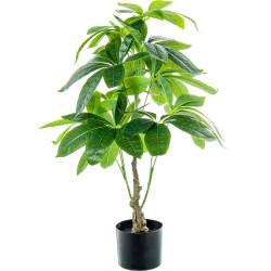 Planta Decorativa Alexandra House Living Plástico Pachira aquatica 90