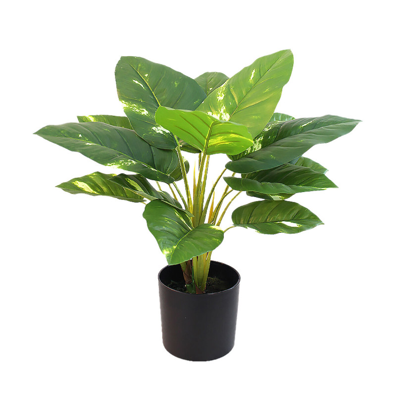 Planta Decorativa Alexandra House Living Plástico 50 cm Planta Decorativa Alexandra House Living Plástico 50 cm