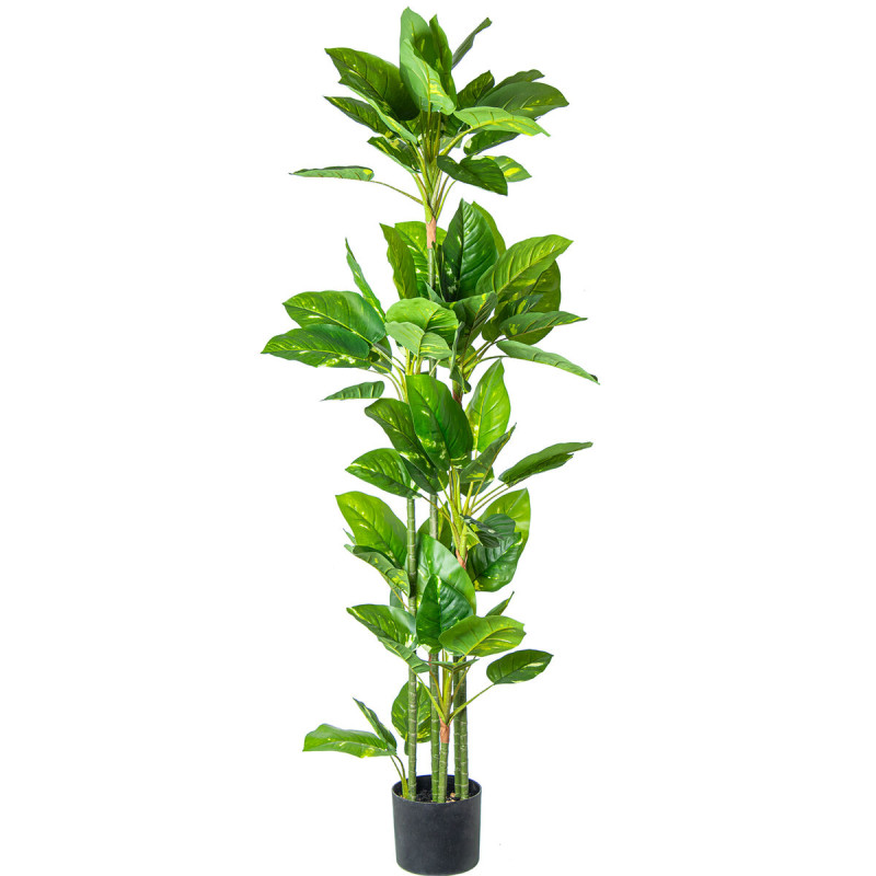 Planta Decorativa Alexandra House Living Plástico 160 cm Planta Decorativa Alexandra House Living Plástico 160 cm