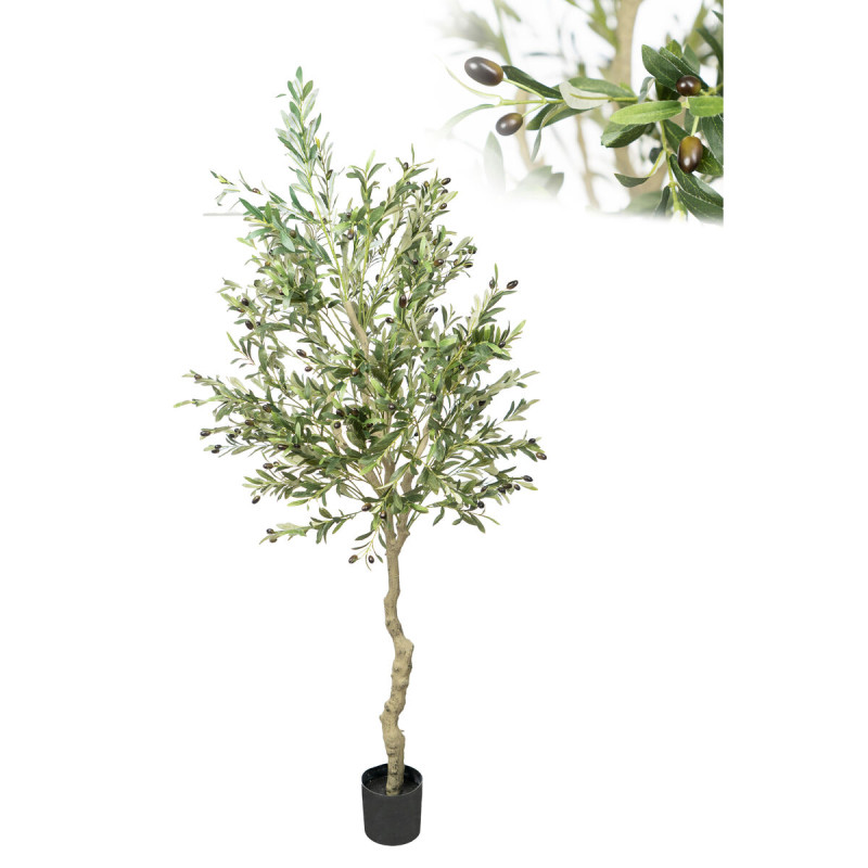 Árbol Decorativo Romimex Plástico Olivo 100 x 195 x 100 cm Árbol Decorativo Romimex Plástico Olivo 100 x 195 x 100 cm